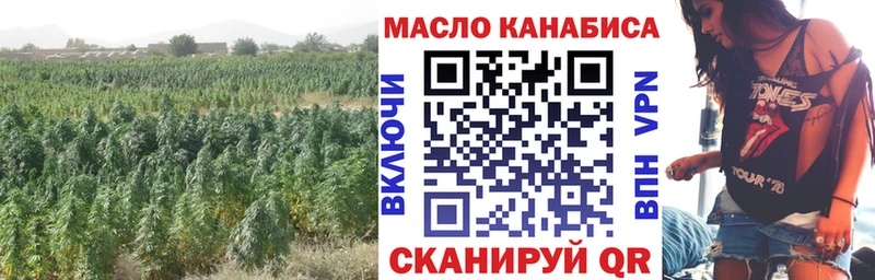 Дистиллят ТГК Wax  Купить закладки  Киреевск 