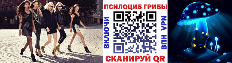 Купить где Киреевск Галлюциногенные грибы Psilocybe