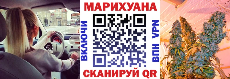 Купить  Киреевск  Бошки марихуана White Widow 